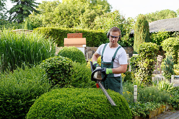 Lawn Pest Prevention in Waynesburg, OH